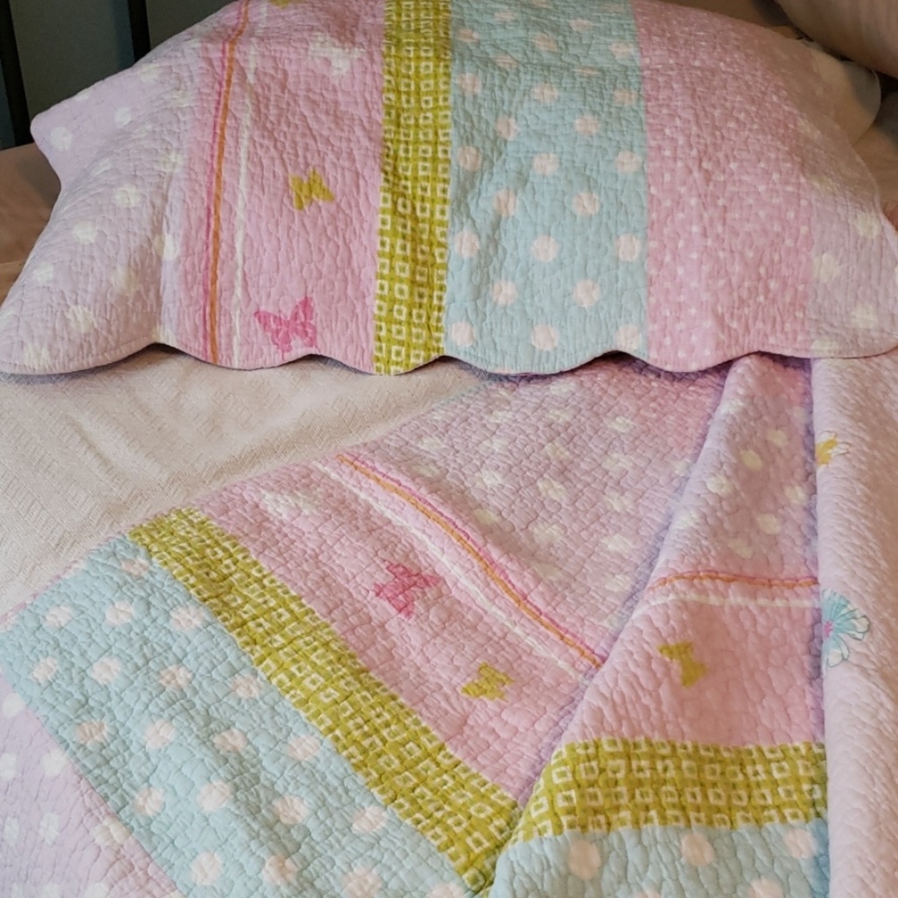 Twin size quilt for girls room